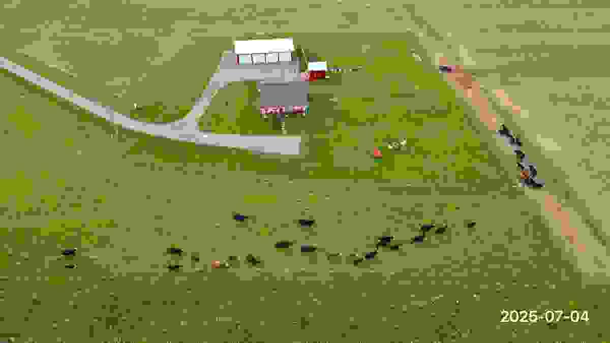 Section image