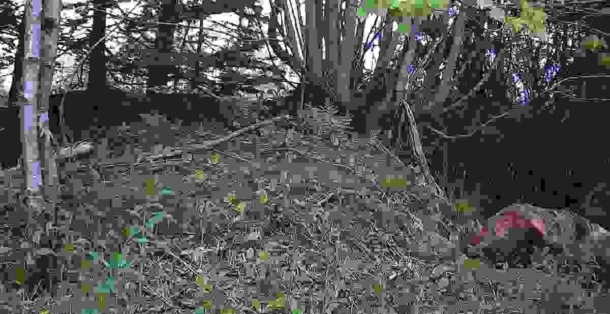 Section image