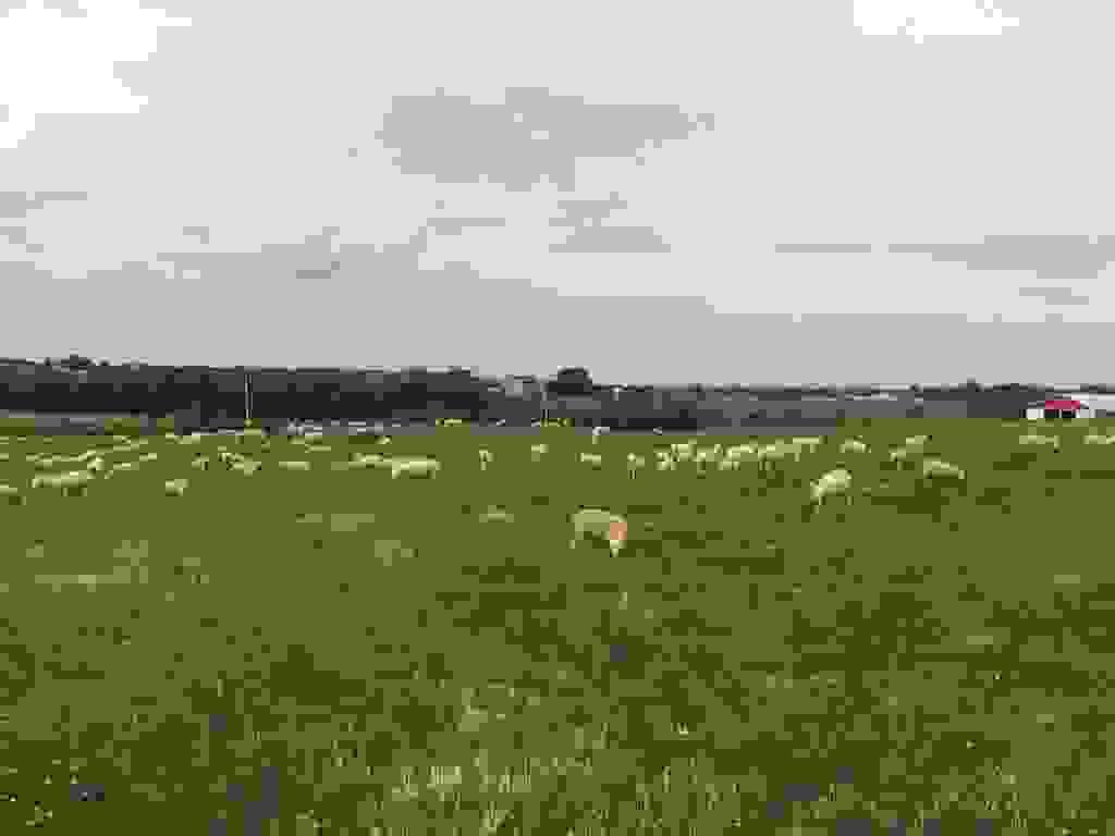Section image