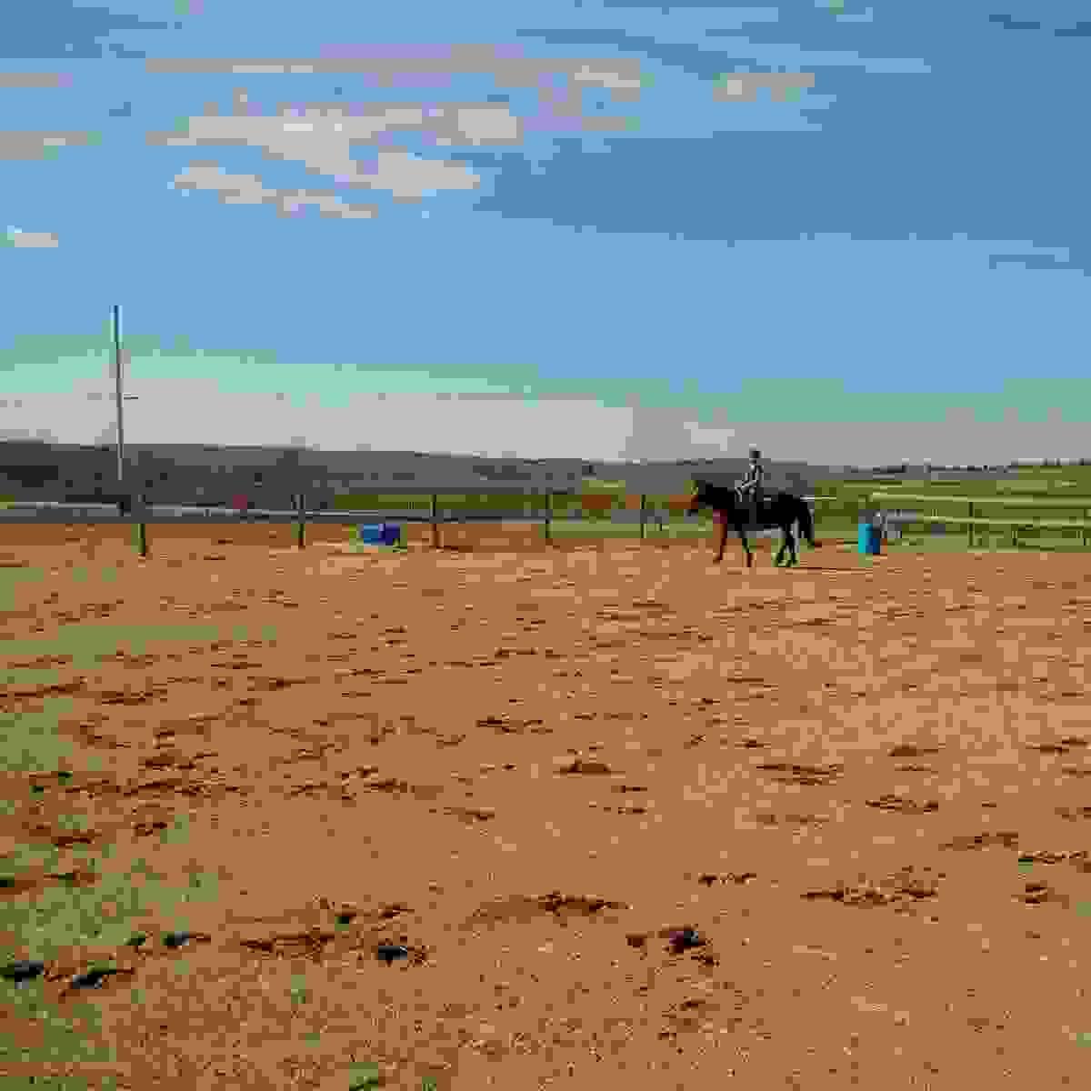 Section image