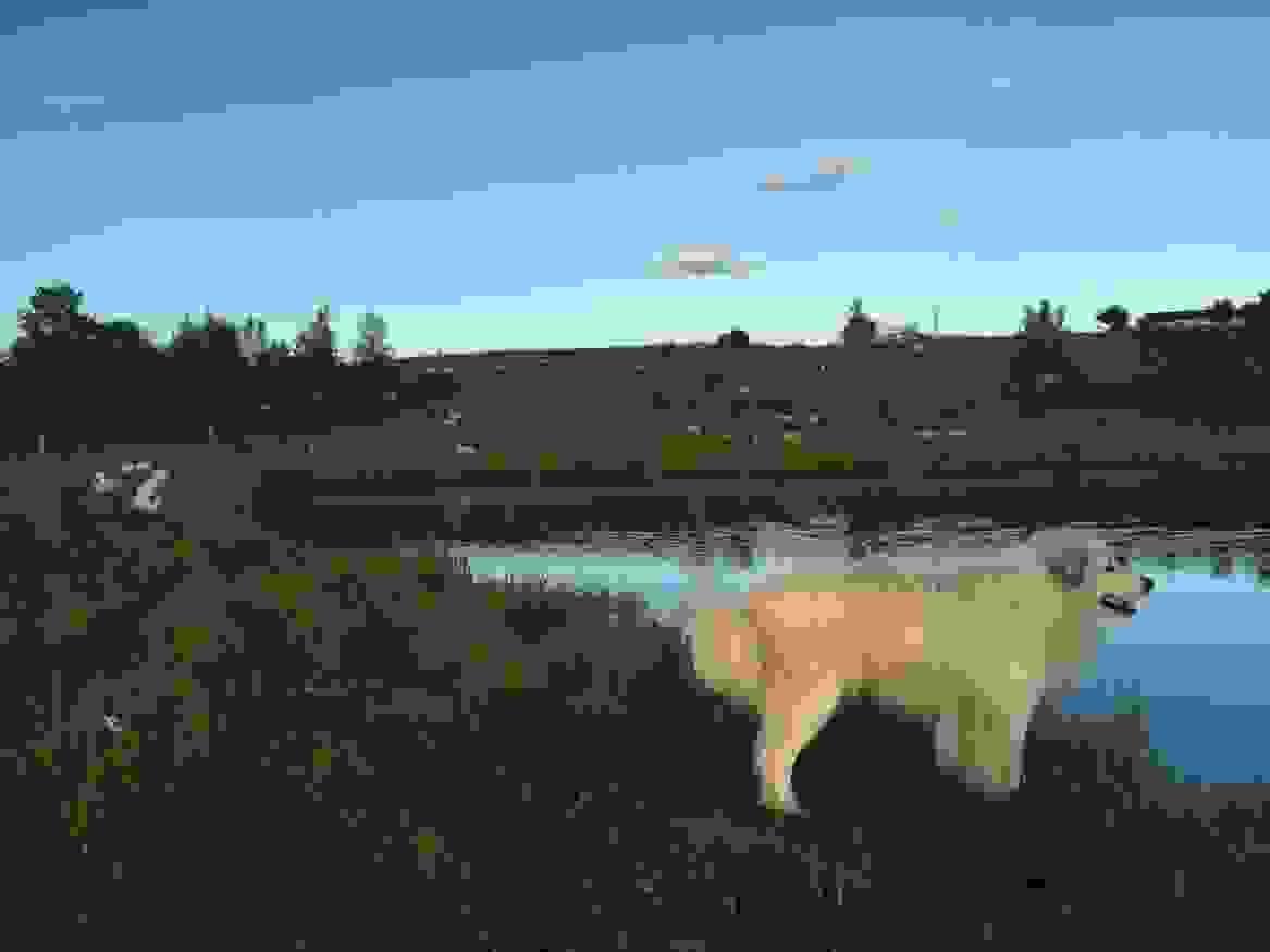 Section image