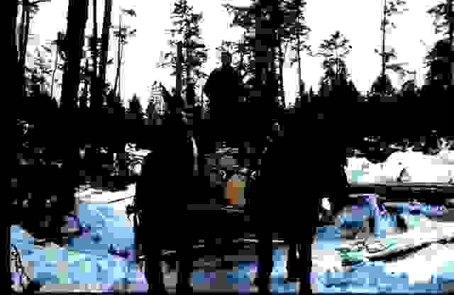 At Sunny Slope Farm Limited, we prioritize the preservation of our natural woodlands. Our conservation efforts focus on maintaining biodiversity, protecting native species, and ensuring the longevity of our forest ecosystems. We engage in responsible practices that uphold the health of our woodlands for future generations. Forest Conservation What We Do Dedicated to the responsible management and conservation of our natural woodlands At Sunny Slope Farm Limited, we prioritize the preservation of our natural woodlands. Our conservation efforts focus on maintaining biodiversity, protecting native species, and ensuring the longevity of our forest ecosystems. We engage in responsible practices that uphold the health of our woodlands for future generations. Forest Conservation What We Do Dedicated to the responsible management and conservation of our natural woodlands