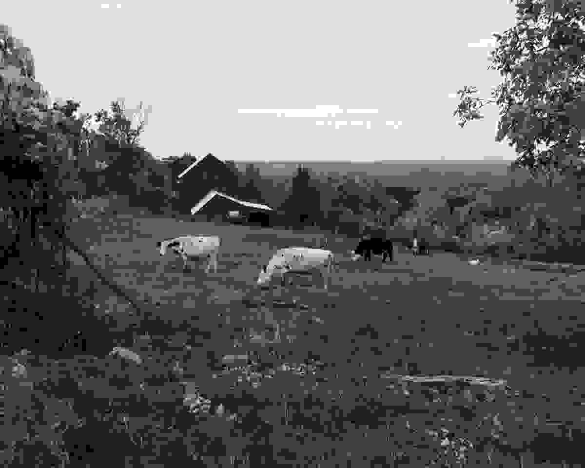 Section image