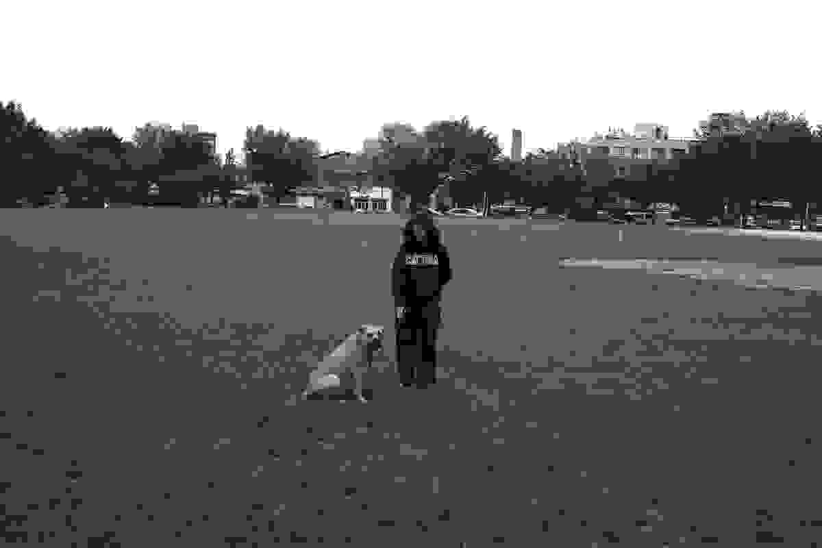 Section image