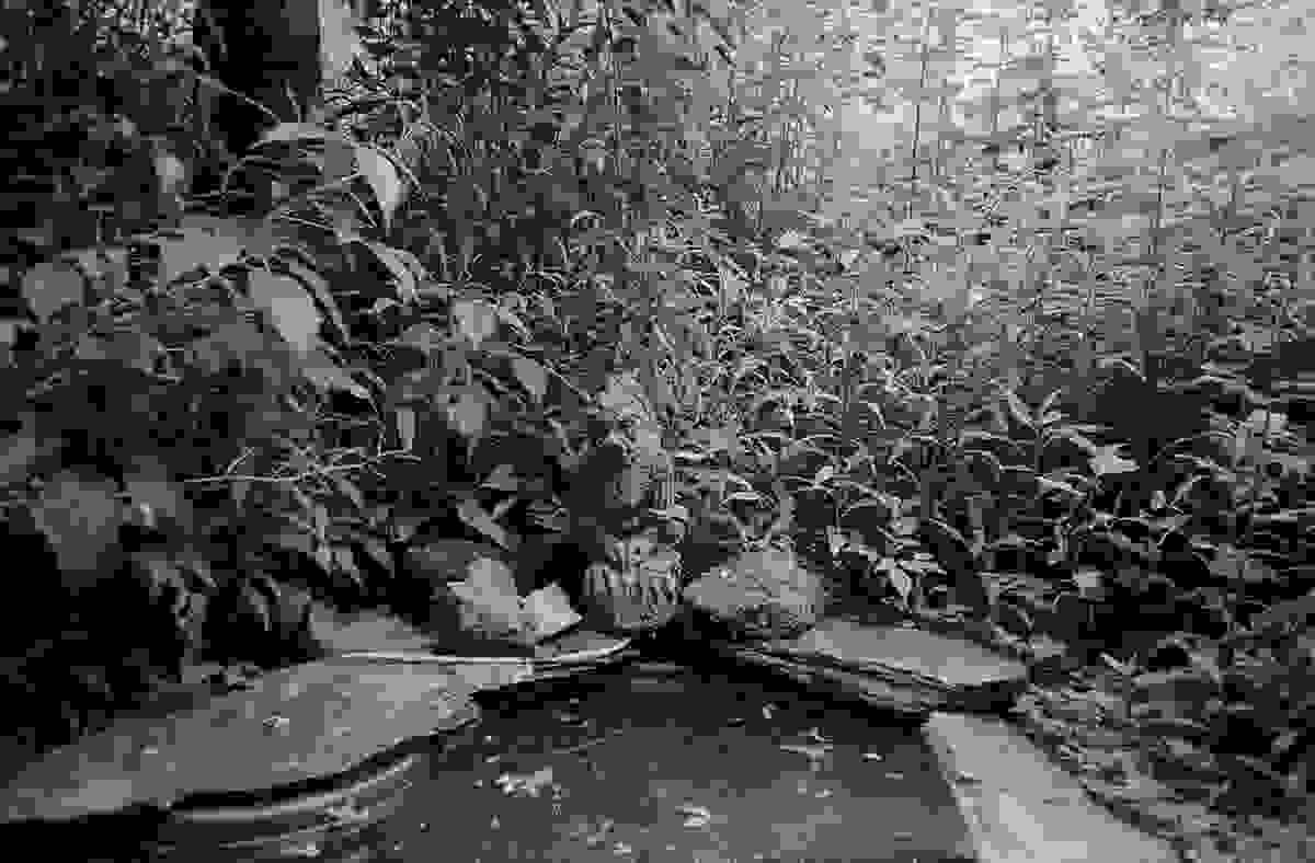 Section image
