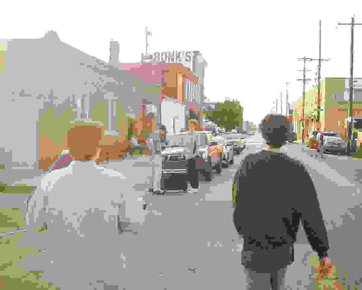 Section image