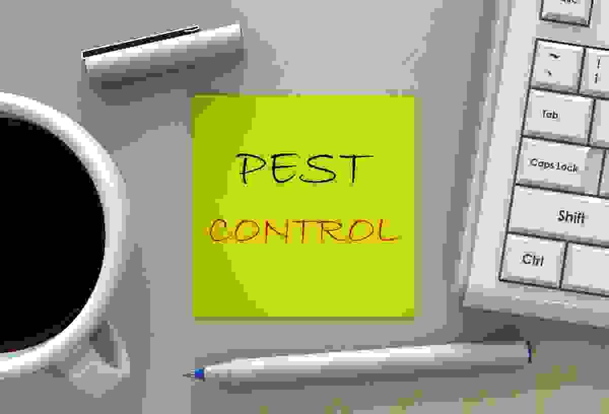 Pest Control Service