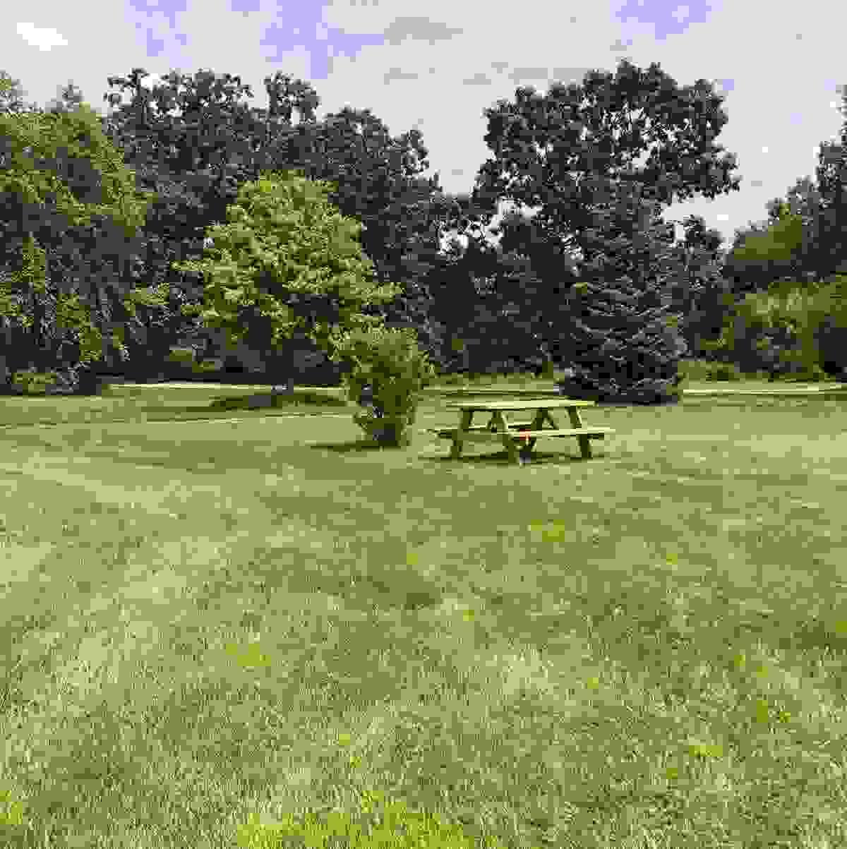 Section image