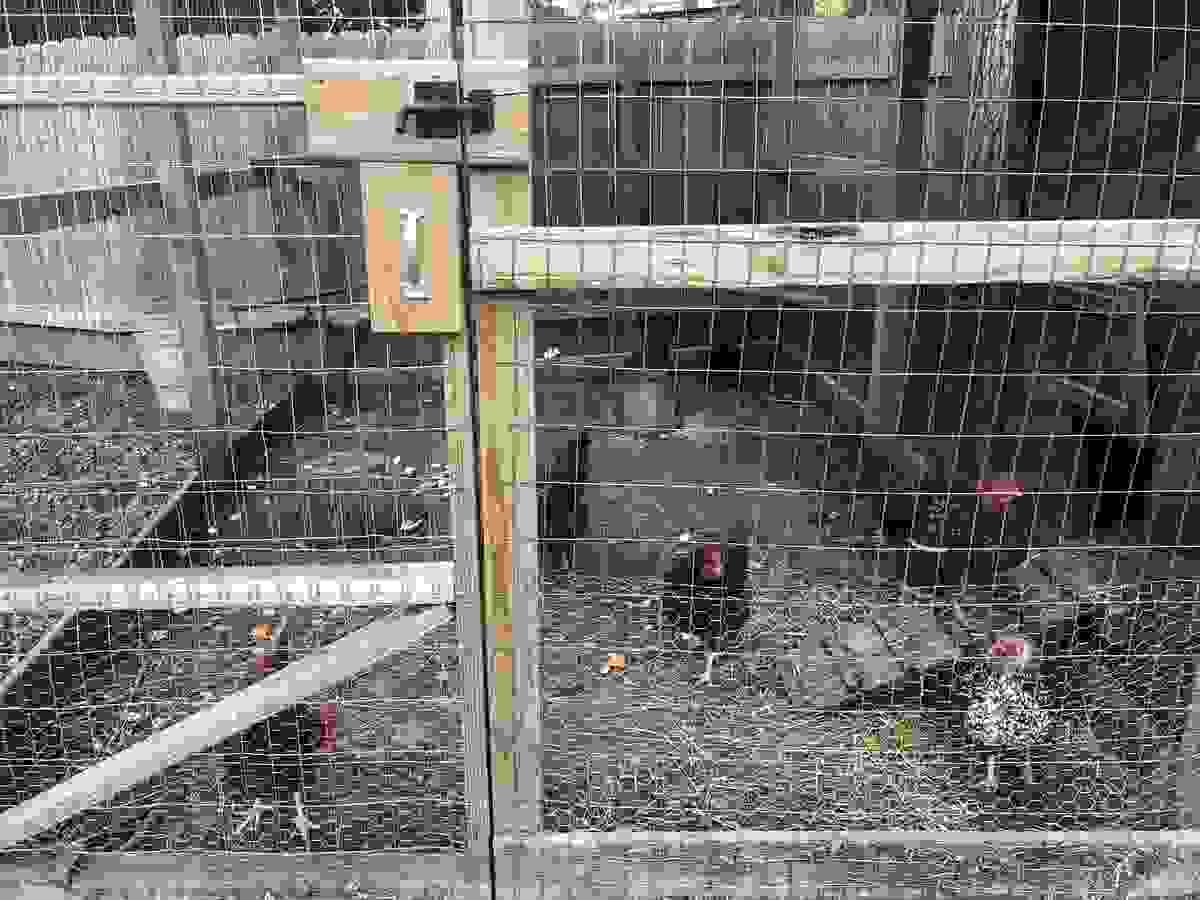 Section image