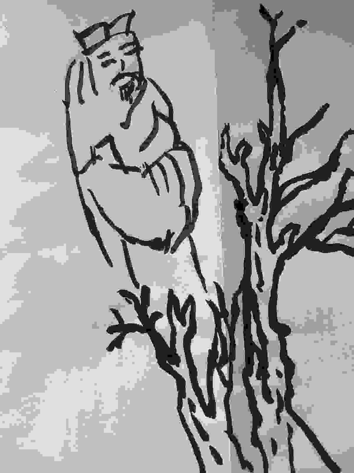 Section image