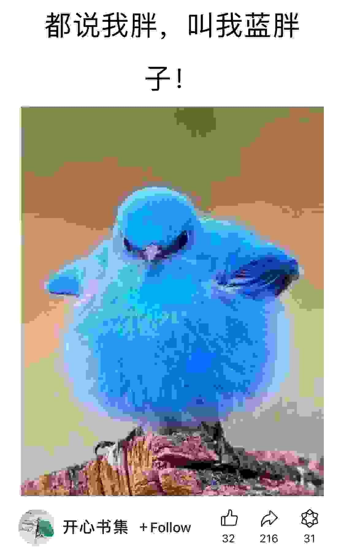 broken image