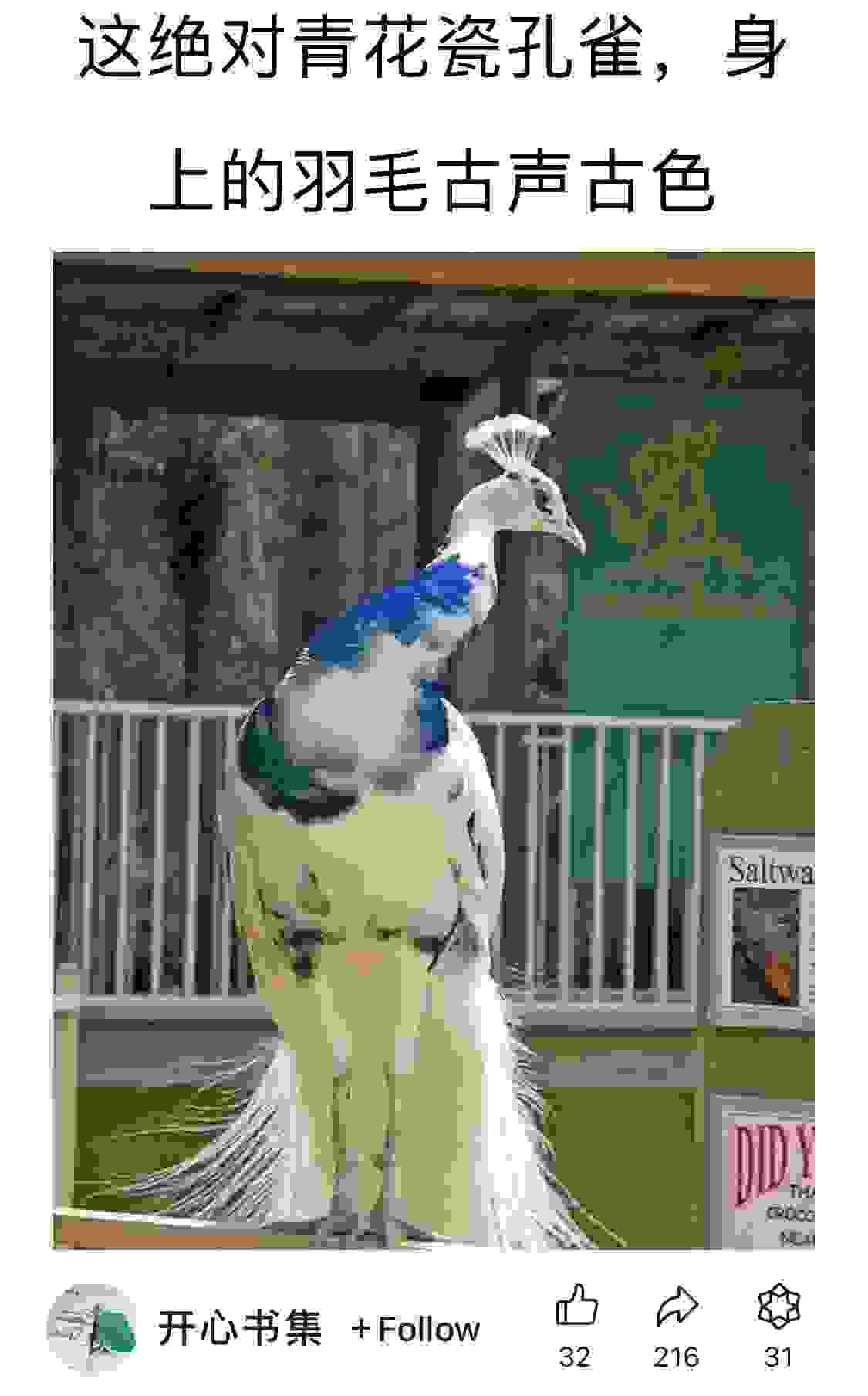 broken image