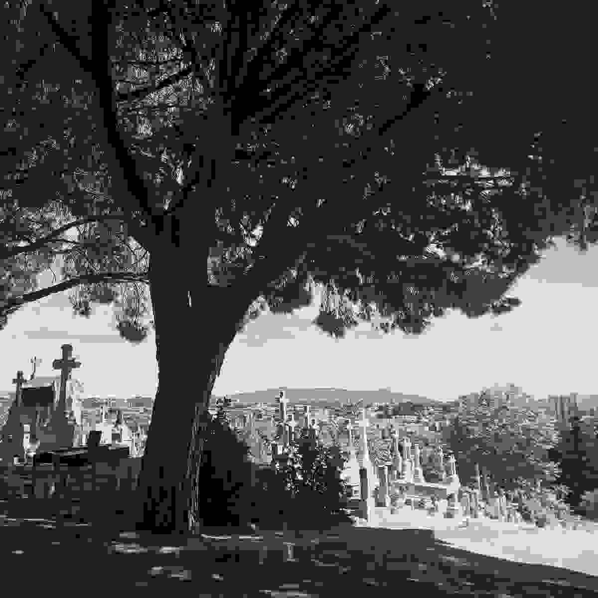 Section image