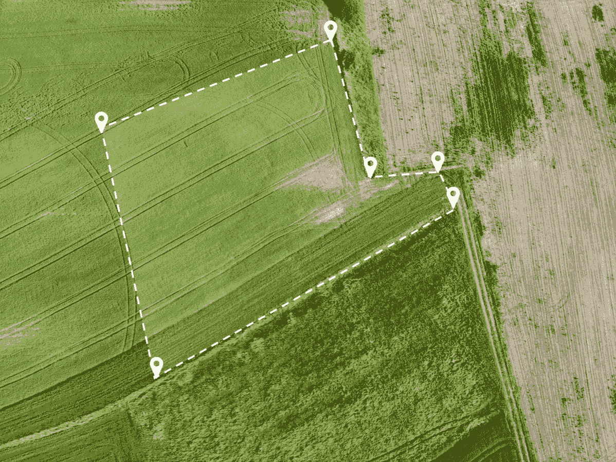 Section image