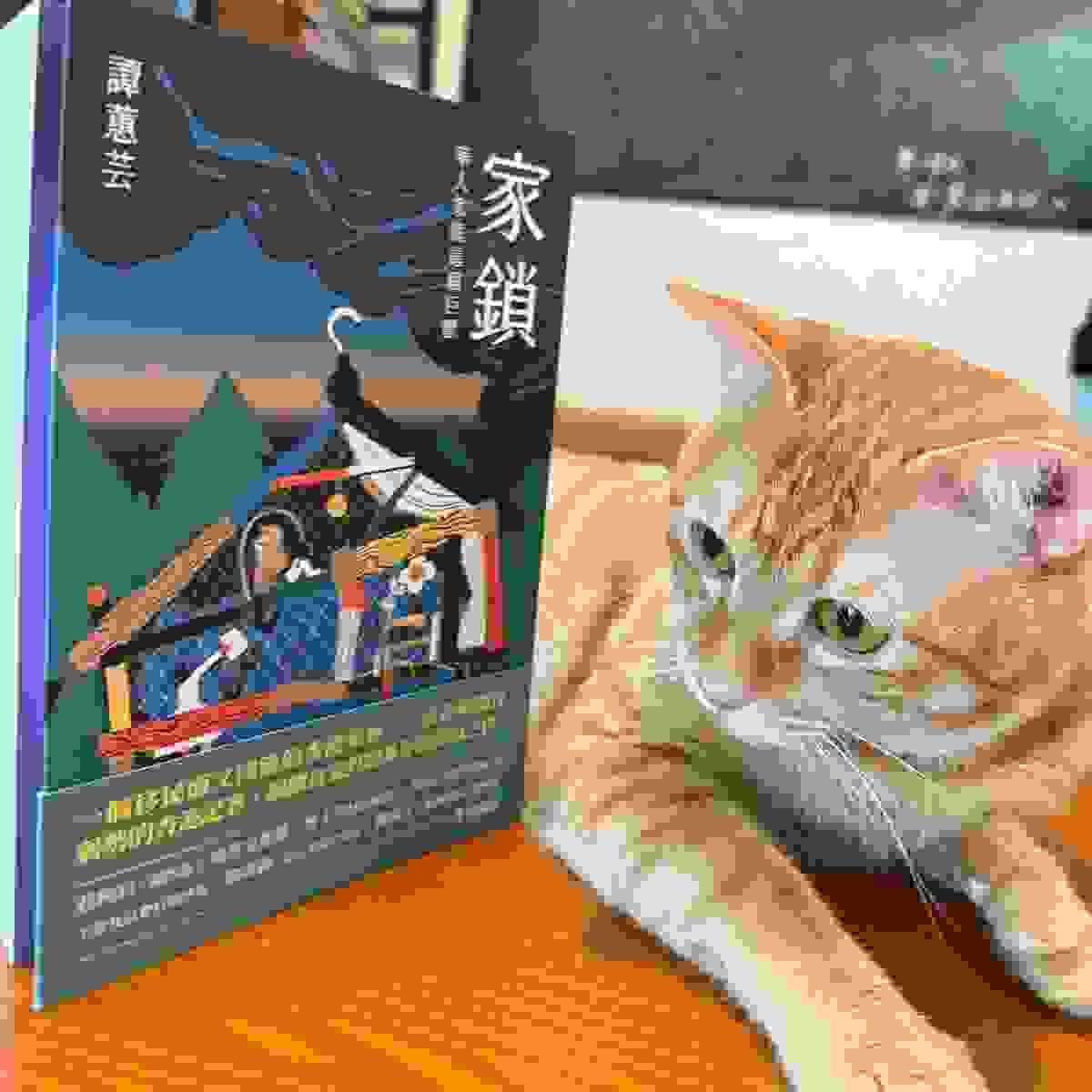 broken image
