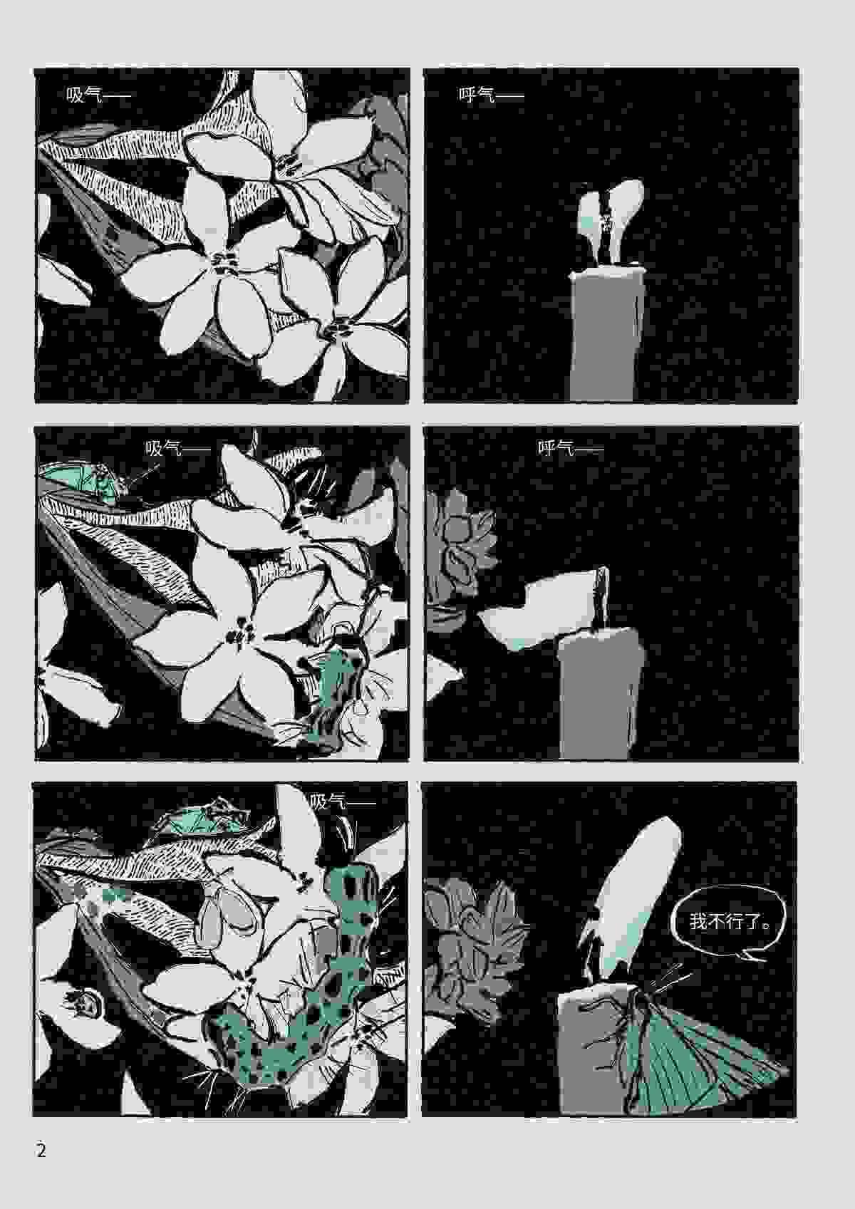 Section image