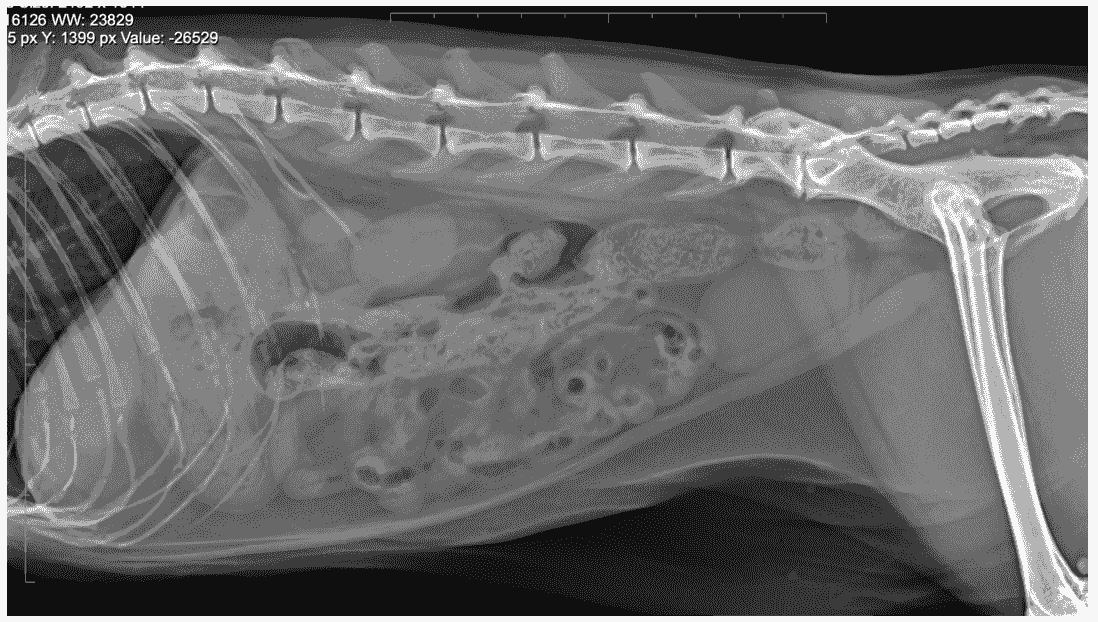 Section image
