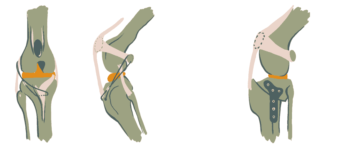 Section image