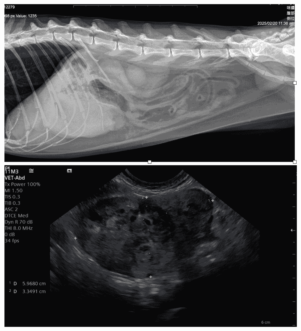 Section image
