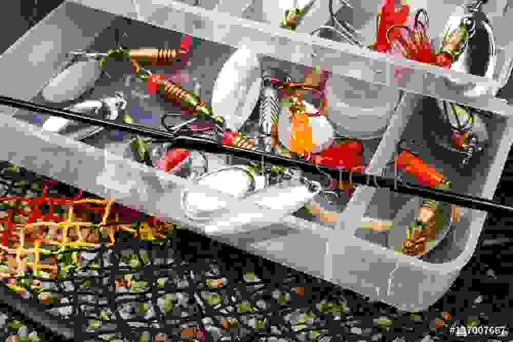 Tips to Enable You Buy Quality Fishing Equipment