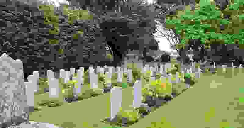 Section image