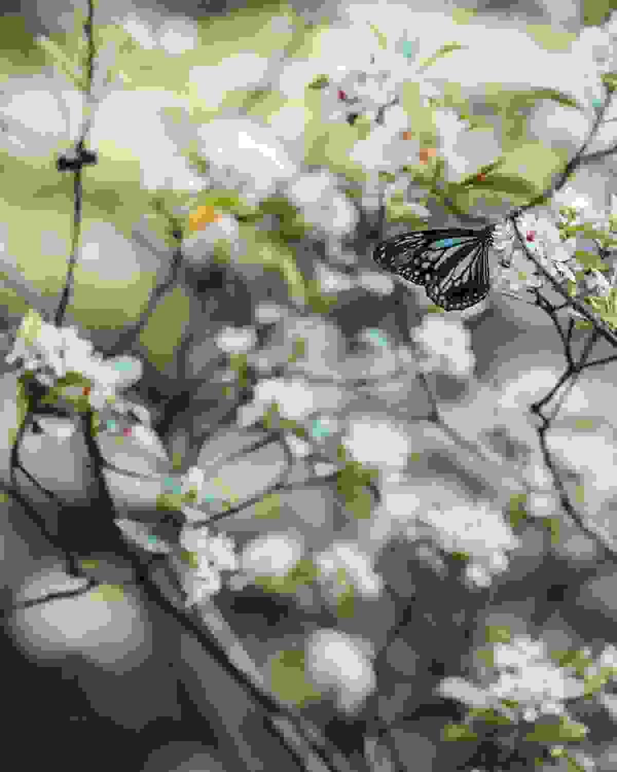 broken image