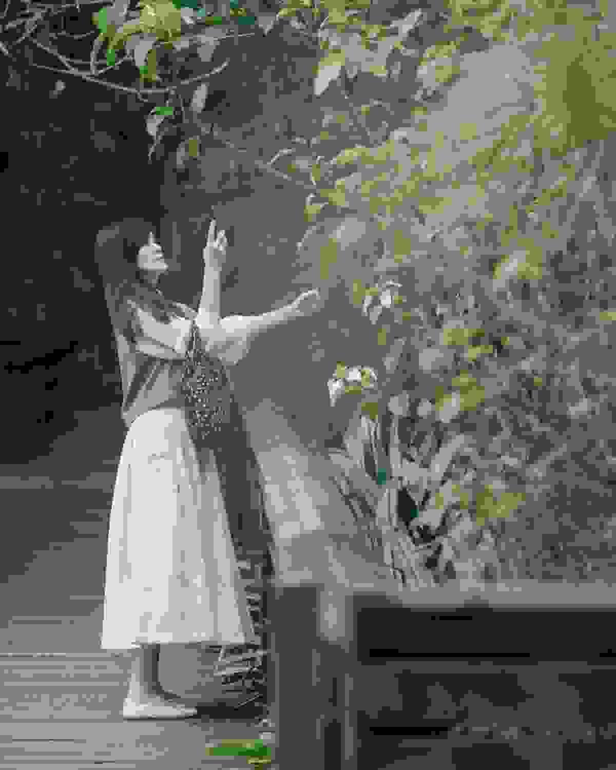 broken image