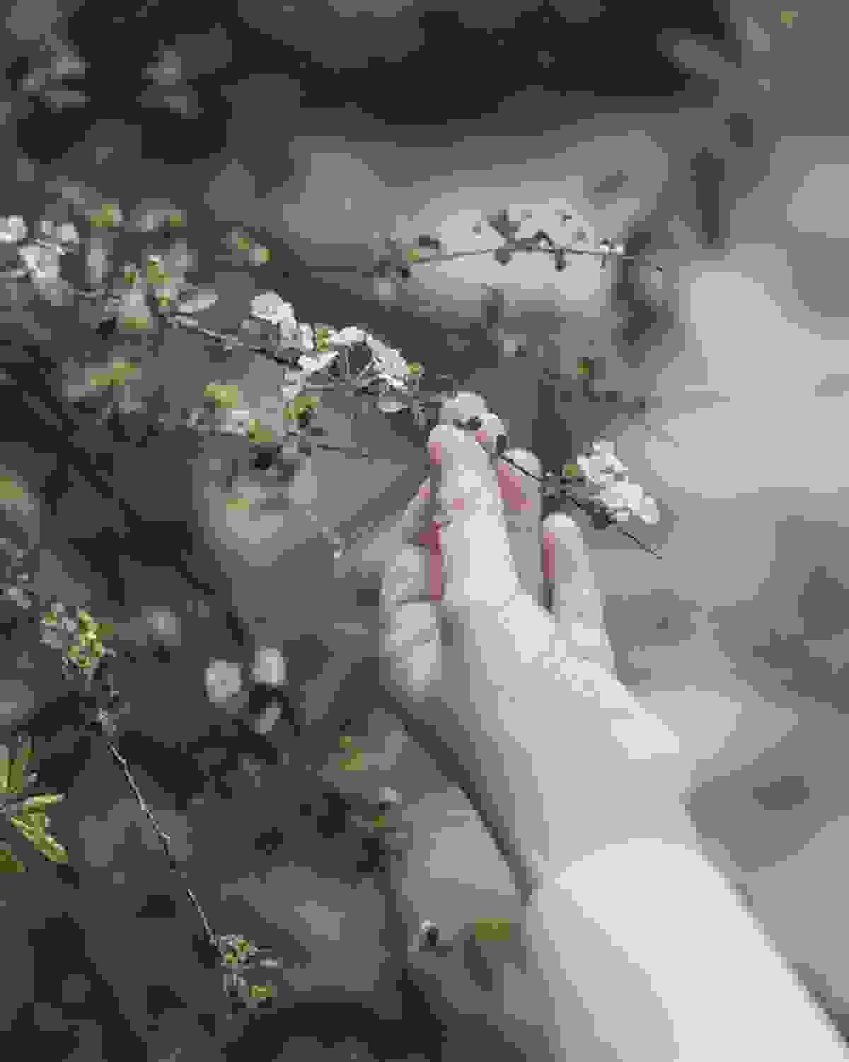 broken image