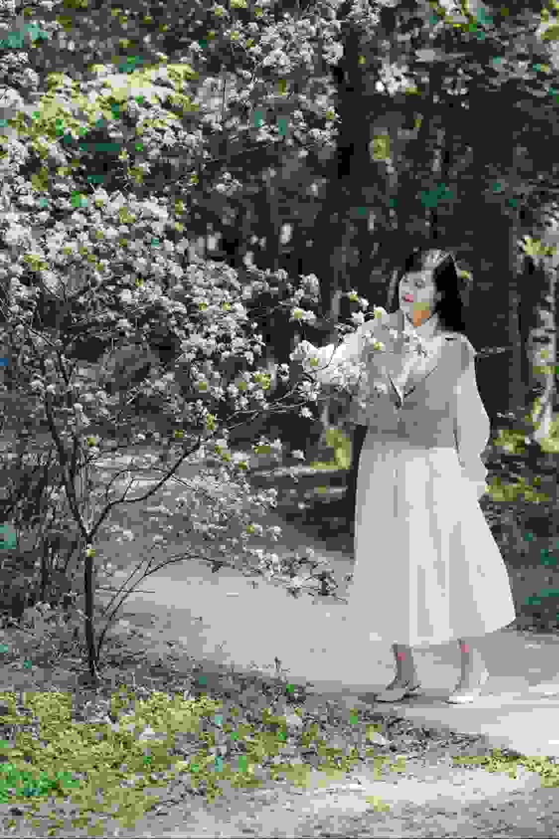broken image