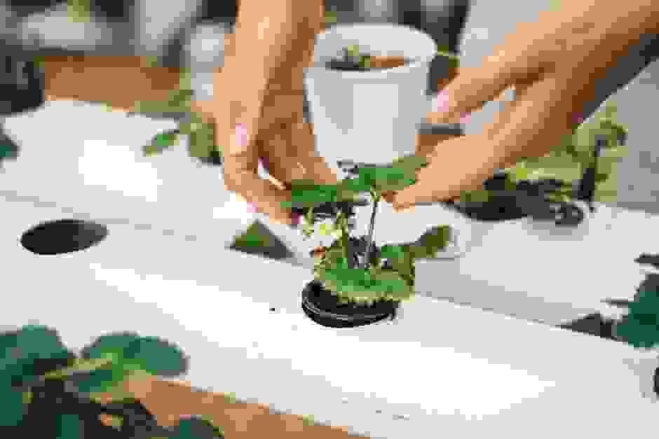 broken image