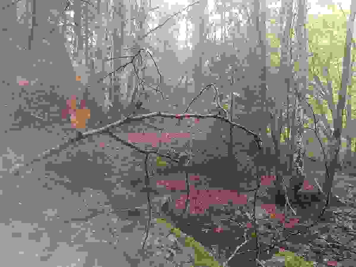 Section image