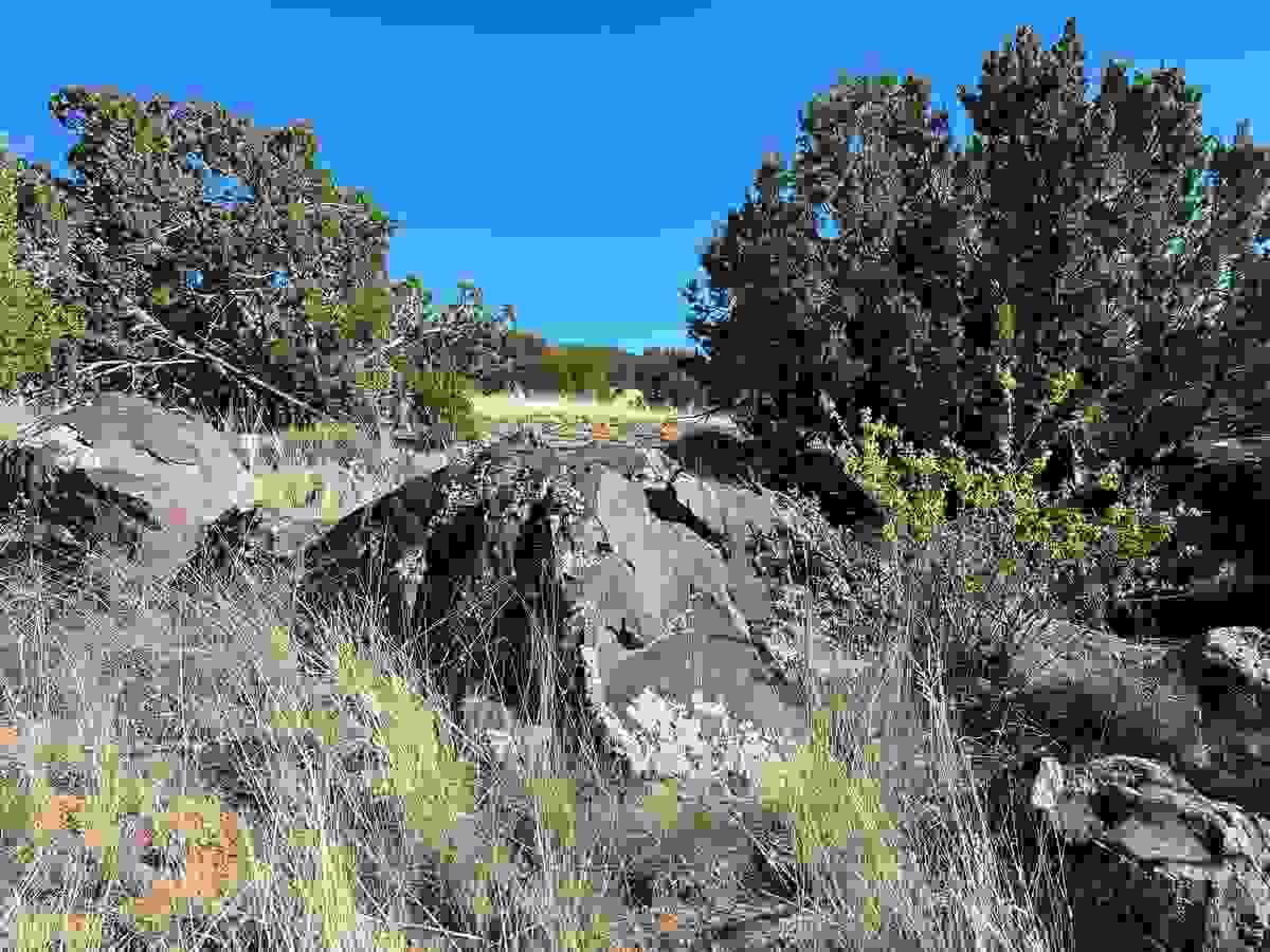 Section image