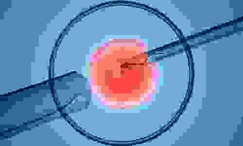 broken image