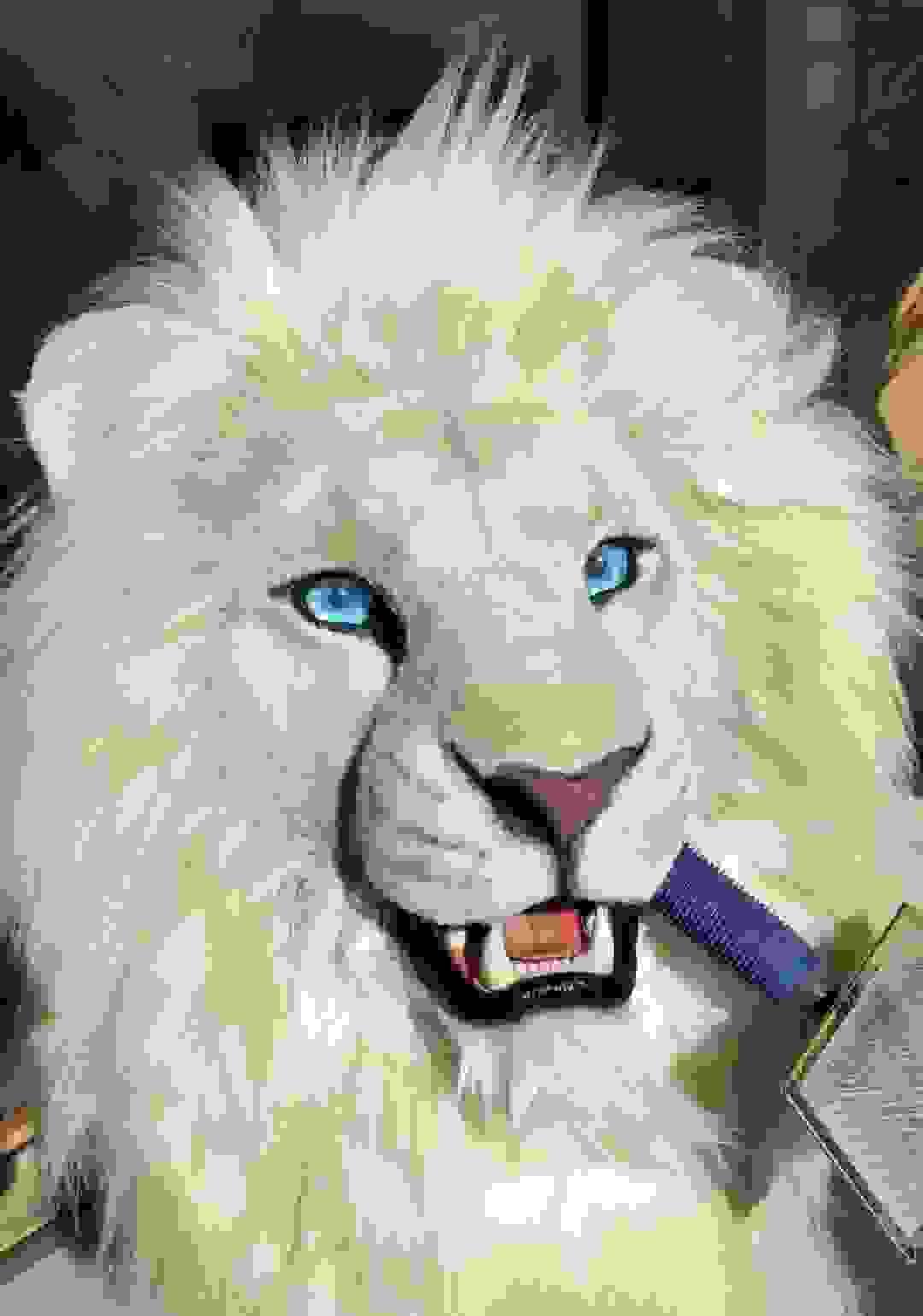 broken image