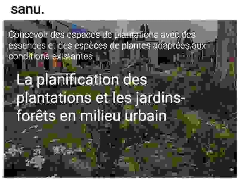 introduction aux jardins-forêts 