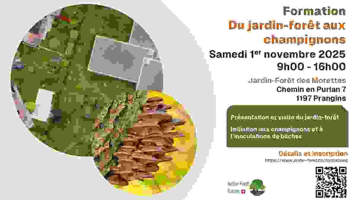 introduction aux jardins-forêts 