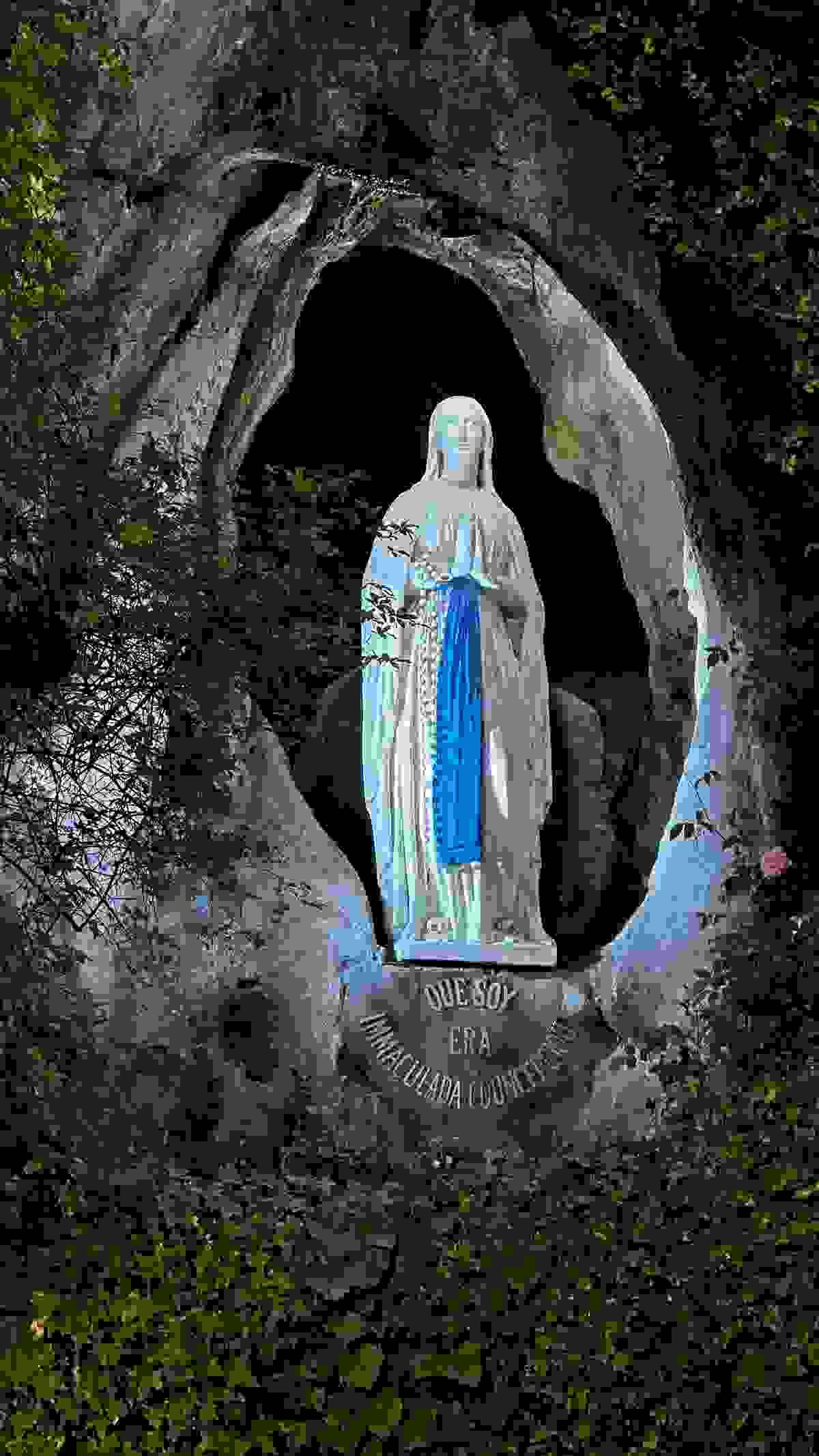 Section image