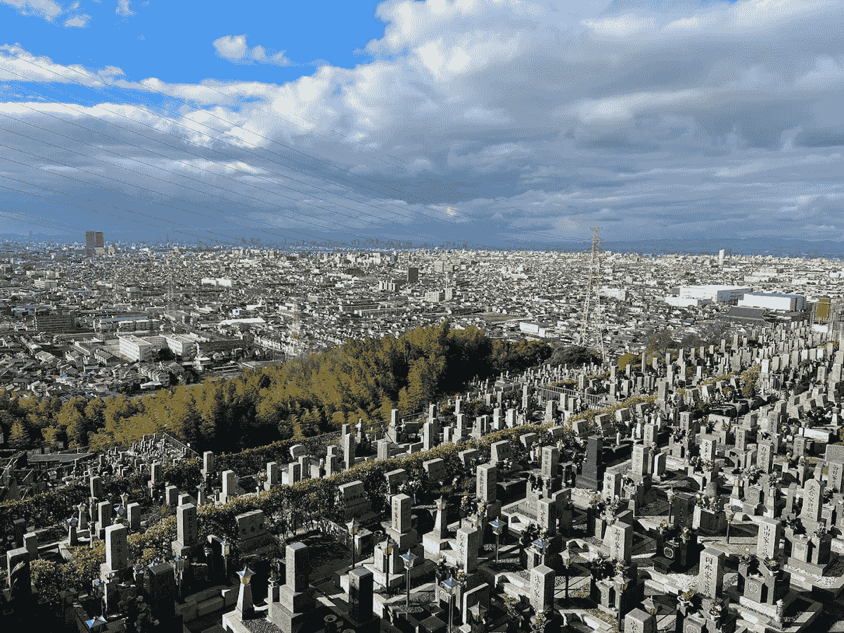 Section image