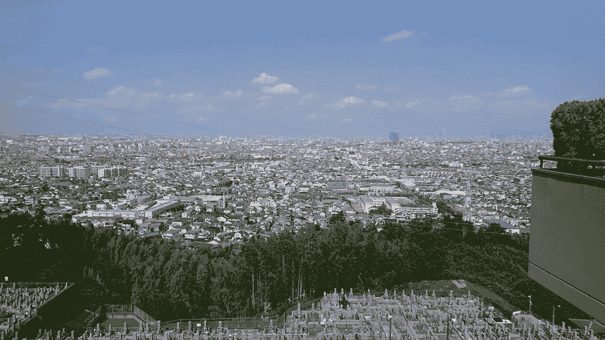 Section image