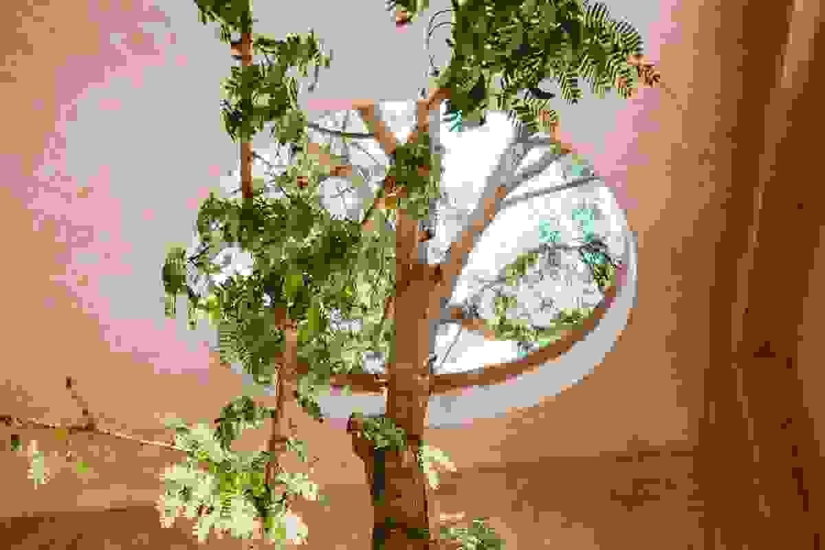 Section image