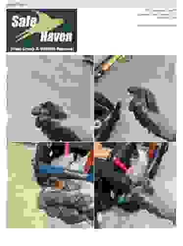 Section image