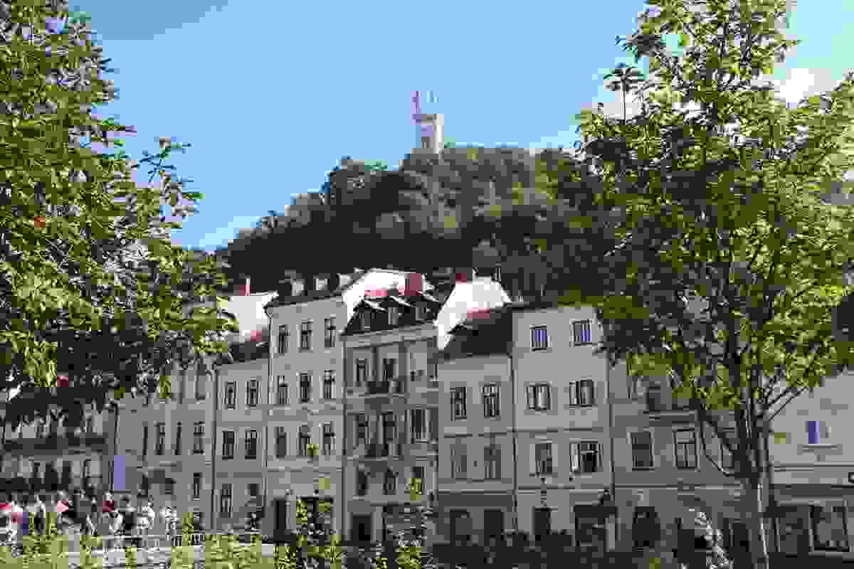 Section image
