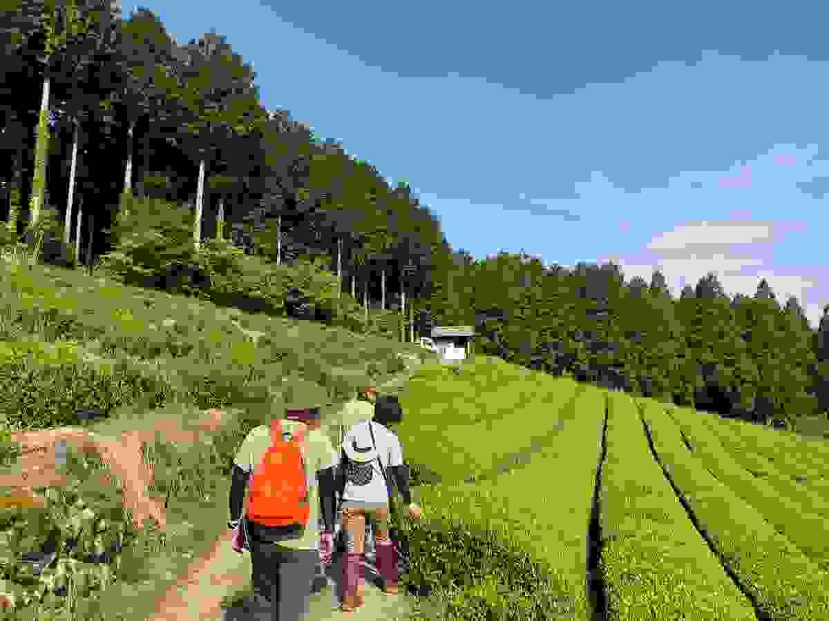 No matter where you are in the world, we bring the taste of Japan to your doorstep. Our efficient shipping services ensure that you receive your favorite teas fresh and ready to enjoy. Global Shipping What We Offer 日本茶、主に煎茶の通販。海外、主に米国向けに販売します。
