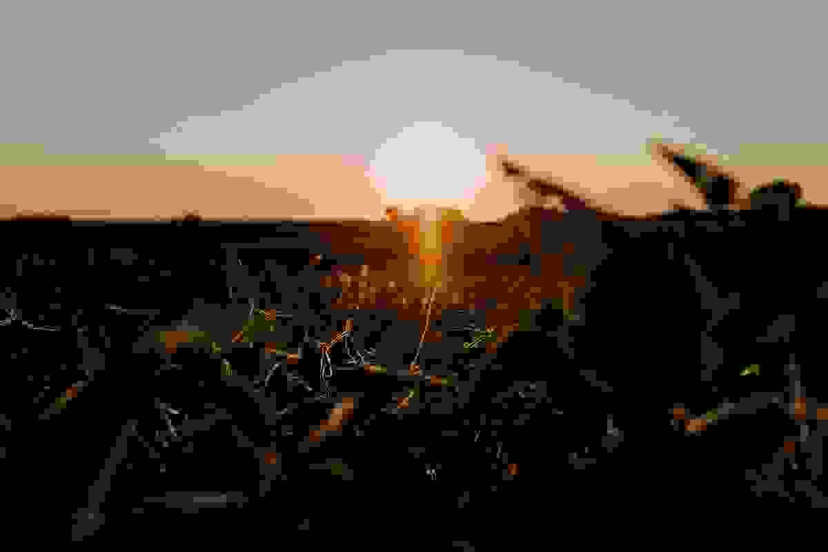 Section image