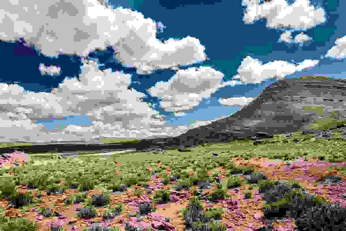 Section image