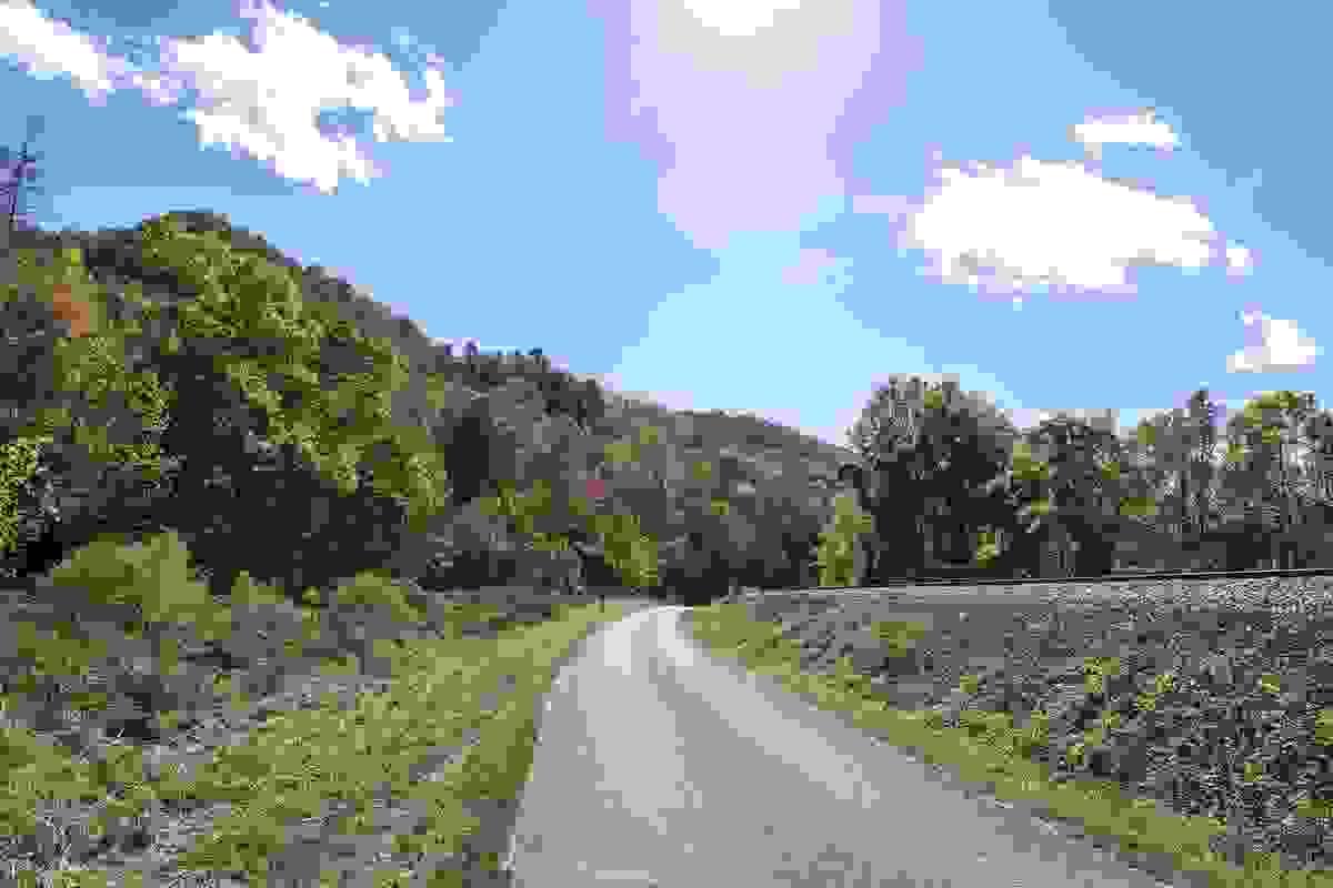 Section image
