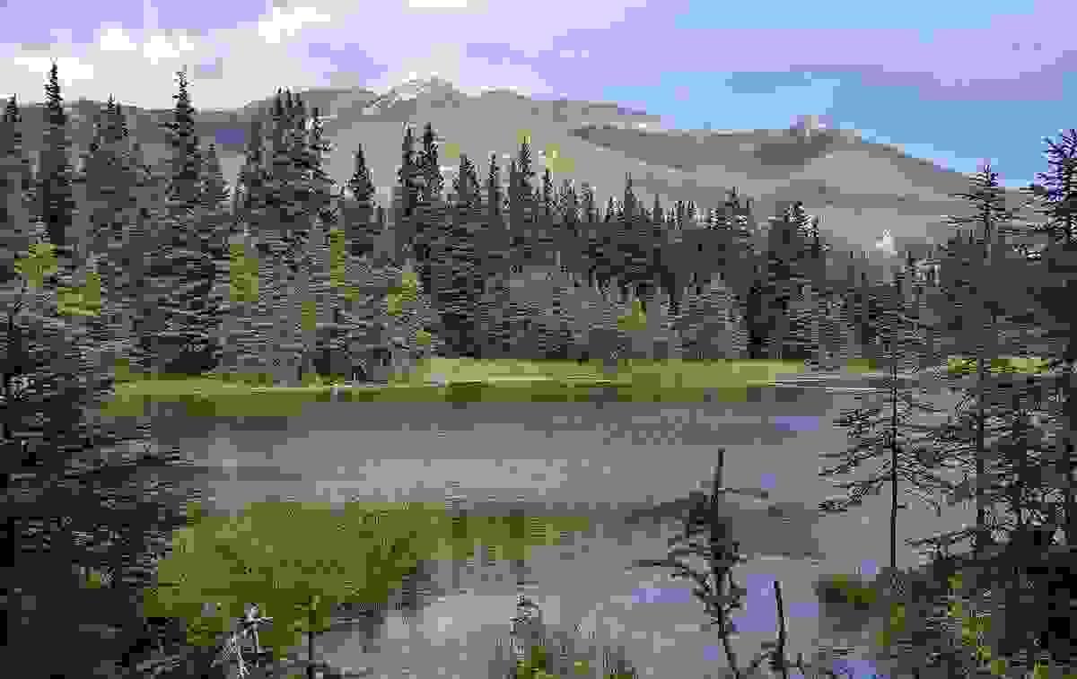 Section image