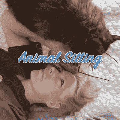 Sitting Services Sitting Services