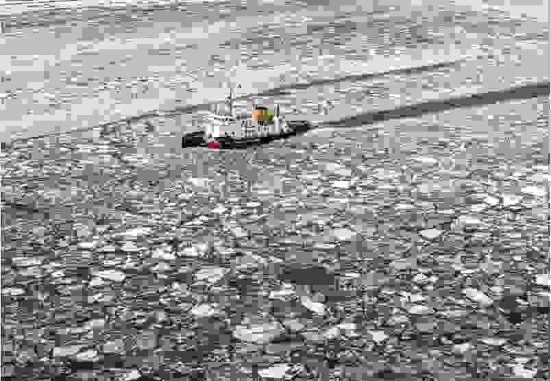 Section image