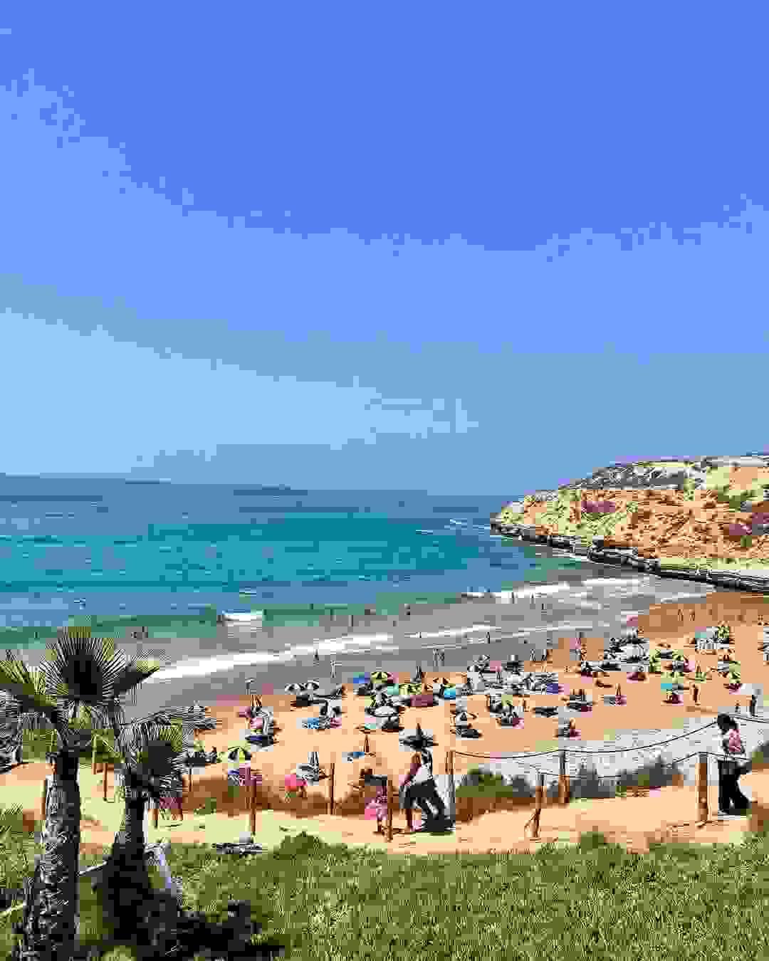 Section image
